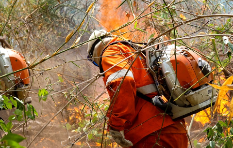 Governo de MS decreta situa&ccedil;&atilde;o de emerg&ecirc;ncia por inc&ecirc;ndios florestais