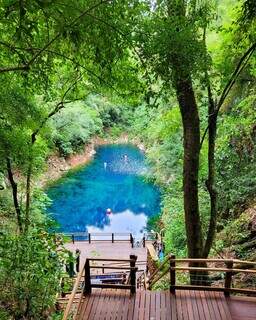 Agora é a vez da temporada verde na Lagoa Misteriosa Agora é a vez da temporada verde na Lagoa Misteriosa