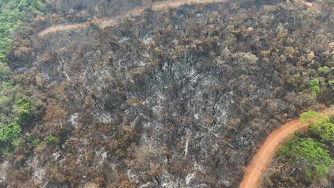 Governo de MS decreta situa&ccedil;&atilde;o de emerg&ecirc;ncia por inc&ecirc;ndios florestais