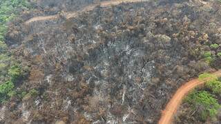 Governo de MS decreta situação de emergência por incêndios florestais Governo de MS decreta situação de emergência por incêndios florestais