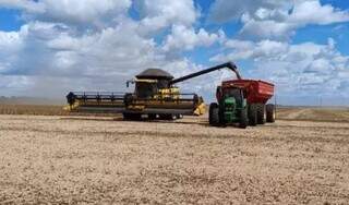 MS lidera ranking de desenvolvimento do agro, aponta pesquisa