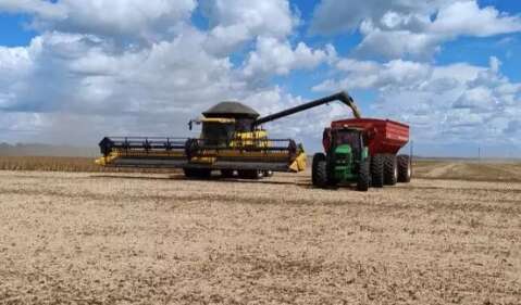 MS lidera ranking de desenvolvimento da agropecu&aacute;ria, diz pesquisa