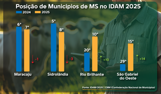 MS lidera ranking de desenvolvimento do agro, aponta pesquisa