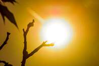 Calor extremo coloca cidades de MS entre as mais quentes do Brasil