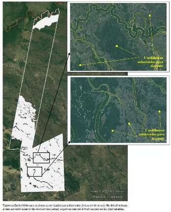 STJ manda Justiça de MS rever aval para desmate de 20 mil hectares no Pantanal