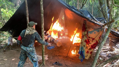 Opera&ccedil;&atilde;o desmantela acampamento com 48 toneladas de maconha