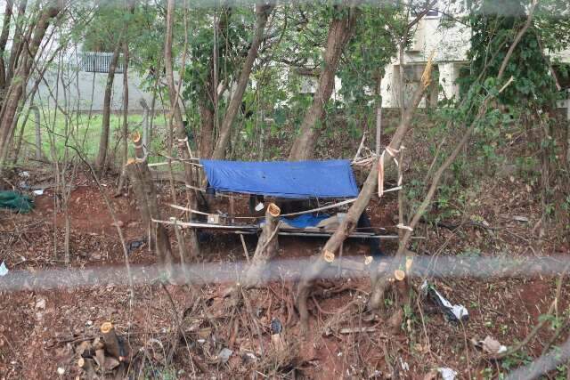 Retirada de &aacute;rvores revela vida escondida durante anos em &aacute;rea nobre da Capital