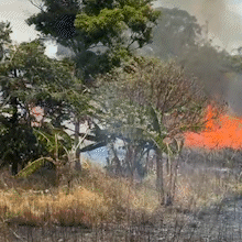 Fogo em terrenos vizinhos derrete forro e danifica ar-condicionado de condom&iacute;nio