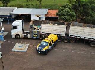 Casal &eacute; preso transportando 20 toneladas de maconha em carga de milho