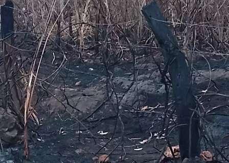 Fazendeiro &eacute; multado em R$ 1,6 milh&atilde;o por inc&ecirc;ndio que devastou 177 hectares 