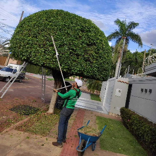 Empacotador e jardineiro est&atilde;o entre as vagas de trabalho desta ter&ccedil;a-feira