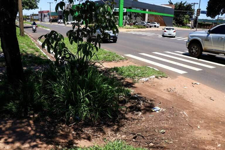 Campo Grande News