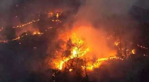 MS lidera emiss&otilde;es de carbono por inc&ecirc;ndios no Brasil 