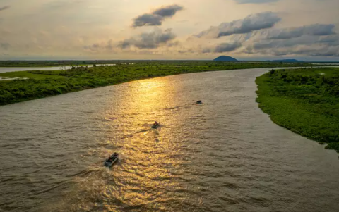 Artistas e ambientalistas lan&ccedil;am campanha pela inclus&atilde;o do Pantanal na COP30