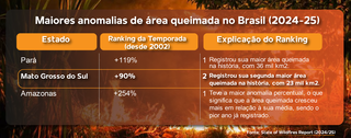 MS lidera emiss&otilde;es de carbono por inc&ecirc;ndios no Brasil 