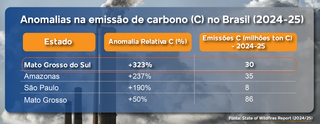 MS lidera emiss&otilde;es de carbono por inc&ecirc;ndios no Brasil 