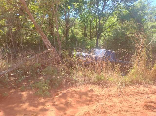 Heran&ccedil;a de fam&iacute;lia: F-1000 &eacute; levada de oficina e achada destru&iacute;da em vegeta&ccedil;&atilde;o