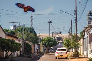 Moradores fazem propaganda de bairro onde "só não trabalha quem não quer" Moradores fazem propaganda de bairro onde "só não trabalha quem não quer"