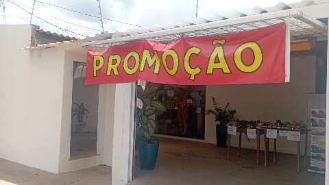 Comerciantes fazem renda &quot;nascer&quot; na garagem de casa para driblar aluguel
