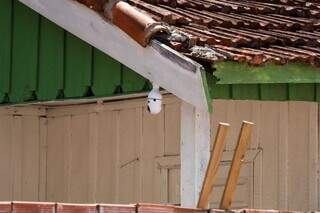 Na rota dos &ldquo;n&oacute;ias&rdquo;, bairro encolhe, refor&ccedil;a seguran&ccedil;a e sonha com porta aberta