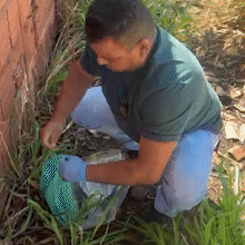 Homem &eacute; preso, admite feminic&iacute;dio e indica onde escondeu a arma do crime