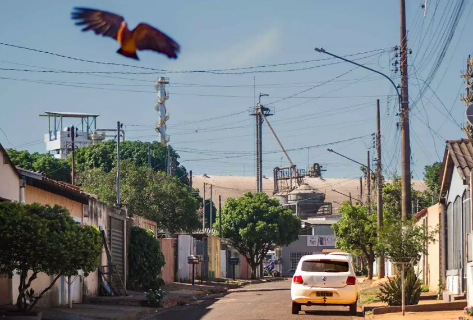 Moradores fazem propaganda de bairro onde &quot;s&oacute; n&atilde;o trabalha quem n&atilde;o quer&quot;