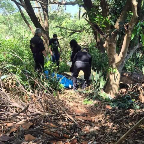 Homem &eacute; morto a pauladas e encontrado enterrado &agrave;s margens de c&oacute;rrego
