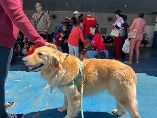 Snow trocou quartel por carinho em visita a crian&ccedil;as cegas no Ismac