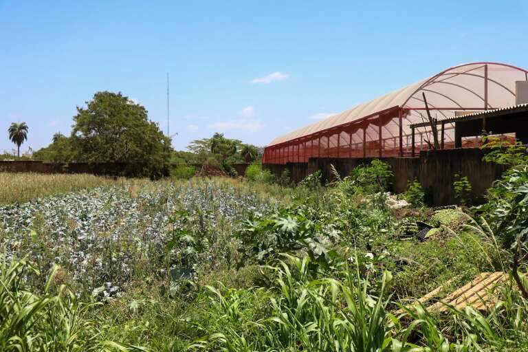 Campo Grande News