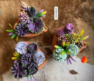 Pinhas colhidas na natureza viram decora&ccedil;&otilde;es nas m&atilde;os de Hermella