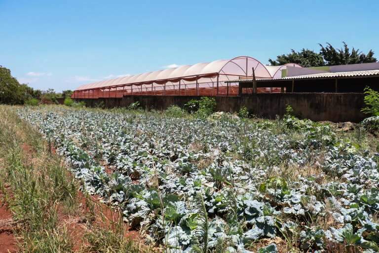 Campo Grande News