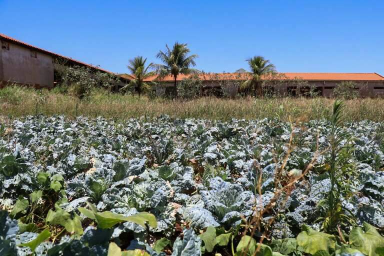 Campo Grande News