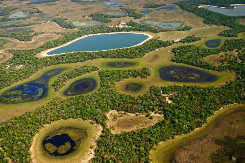 Programa que paga por preserva&ccedil;&atilde;o do Pantanal tem 59 selecionados