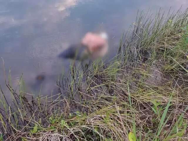 Preso 3&ordm; suspeito de jogar homem com p&eacute;s e m&atilde;os amarrados em lagoa 