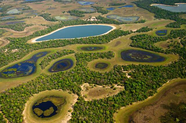 Programa que paga por preserva&ccedil;&atilde;o do Pantanal tem 59 selecionados