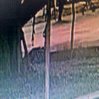 Imagens desmentem vers&atilde;o de leg&iacute;tima defesa em morte na pra&ccedil;a