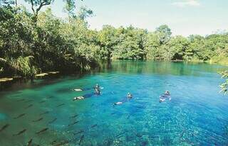 Bonito e Pantanal no Top 10 dos melhores destinos do Brasil Bonito e Pantanal no Top 10 dos melhores destinos do Brasil