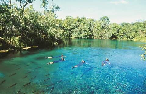 Bonito e Pantanal no Top 10 dos melhores destinos do Brasil
