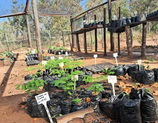 Projeto de preserva&ccedil;&atilde;o do Pantanal feito em MS vence pr&ecirc;mio nacional