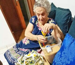 Amor de avó vira brinquedos artesanais inspirados no Pantanal Amor de avó vira brinquedos artesanais inspirados no Pantanal