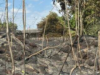 Fogo cerca casa na madrugada e filho salva pai acamado de 96 anos Fogo cerca casa na madrugada e filho salva pai acamado de 96 anos