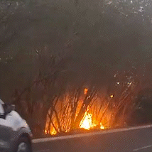 Incêndio atinge mata às margens do Rio Anhanduí no Jardim Nhanhá Incêndio atinge mata às margens do Rio Anhanduí no Jardim Nhanhá