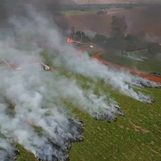 Indígenas ocupam e queimam áreas de fazenda em Caarapó durante novo conflito Indígenas ocupam e queimam áreas de fazenda em Caarapó durante novo conflito