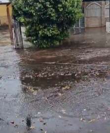 Chuva rápida e forte causa alagamentos no Santo Amaro e queda de árvore Chuva rápida e forte causa alagamentos no Santo Amaro e queda de árvore