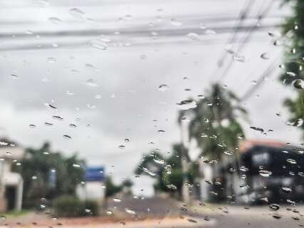 Domingo é de chuva, temperatura amena e alerta meteorológico em MS Domingo é de chuva, temperatura amena e alerta meteorológico em MS