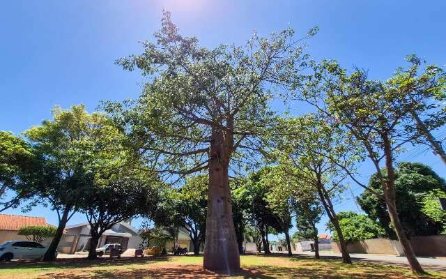 Caiçara, o bairro que já "tocou o terror" e hoje encontrou a tranquilidade