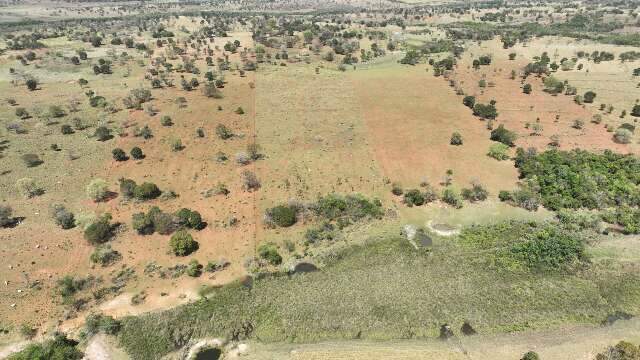 Duas áreas de nascentes serão restauradas em Nioaque