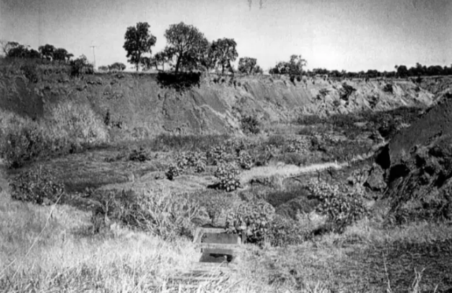 Plantio de 1.530 mudas no Sóter pode encerrar ação ambiental histórica