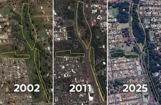 Plantio de 1.530 mudas no S&oacute;ter pode encerrar a&ccedil;&atilde;o ambiental hist&oacute;rica