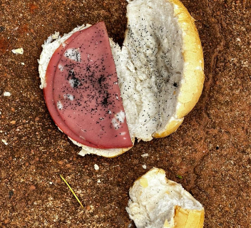Tratorista mata ex-enteado com pão envenenado e diz ter sido ameaçado Tratorista mata ex-enteado com pão envenenado e diz ter sido ameaçado